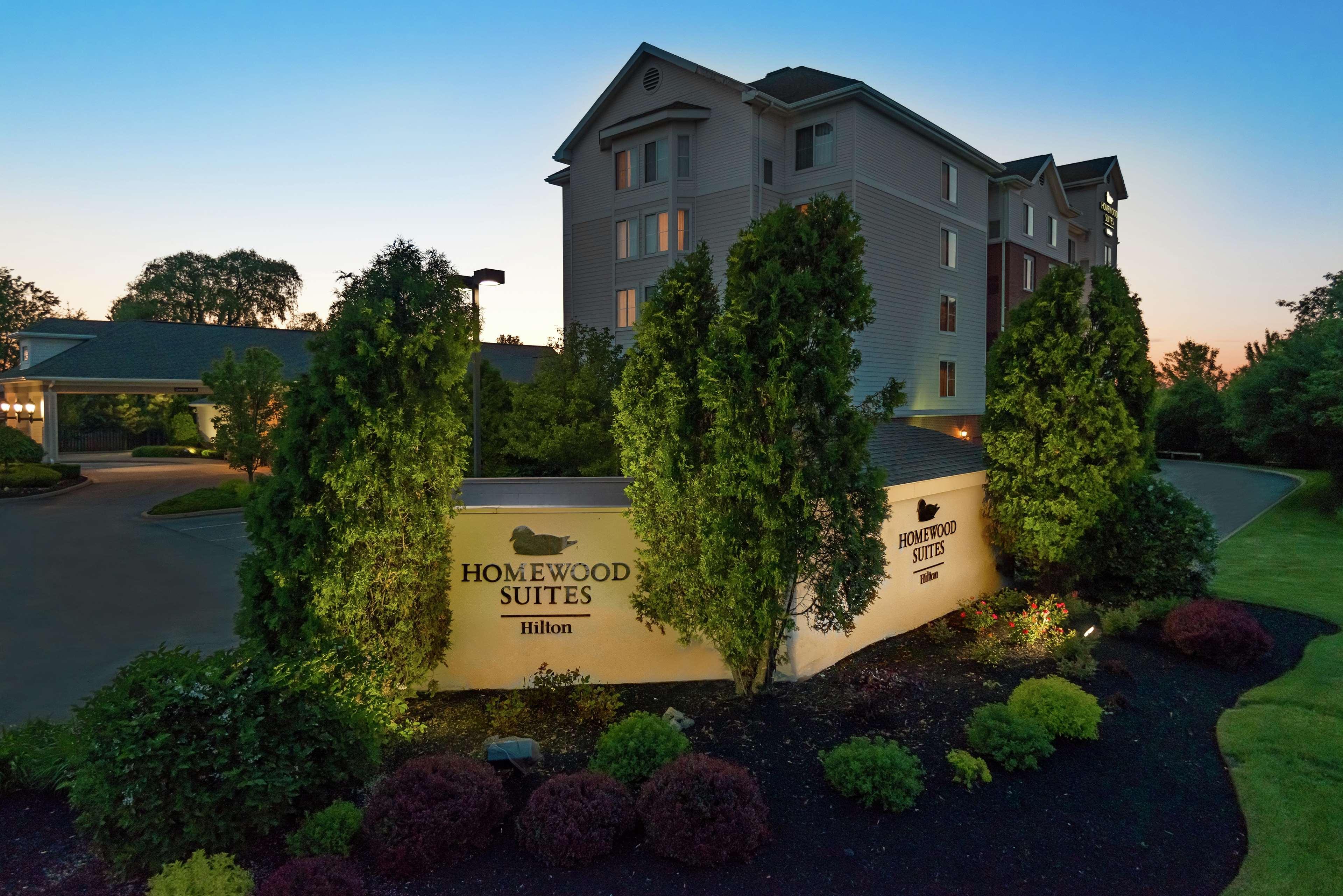 فندق أميرست، ماساتشوستسفي  فندق هوموود سويتس باى هيلتون بافالو أمهيرست المظهر الخارجي الصورة